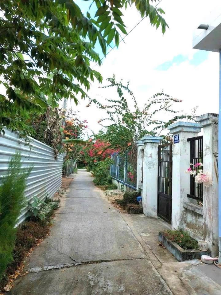 Nhà cấp 4 Phường 8, TP Vĩnh Long 121m² giá 1.1 tỷ - Cơ hội đầu tư hấp dẫn!