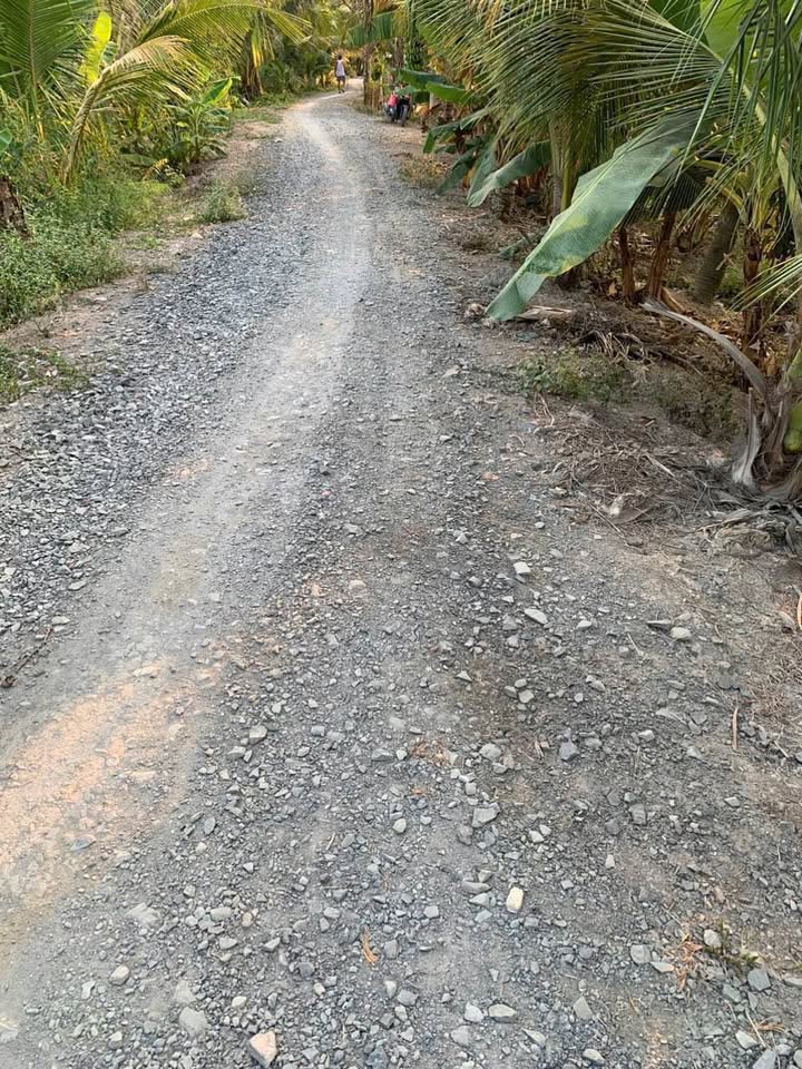 Đất Phú Thịnh, Tam Bình, Vĩnh Long 1106m² giá 1.05 tỷ - Đất vuông vức, thương lượng tốt!