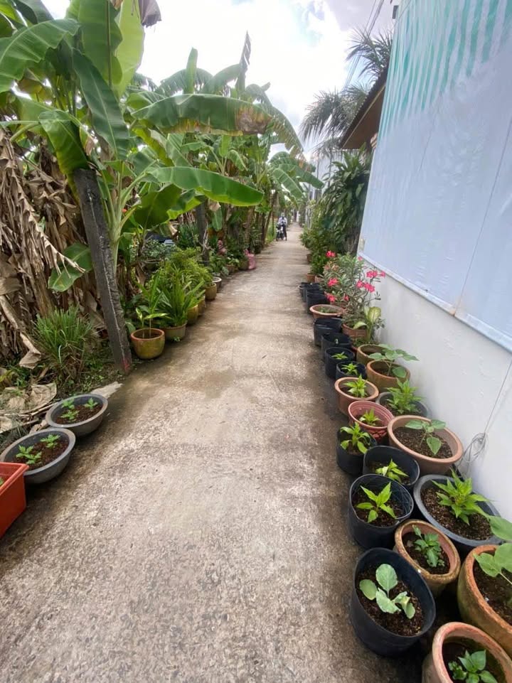 Đất nền đẹp trung tâm Phước Hậu, Vĩnh Long 123m² chỉ 1.22 tỷ - Cơ hội đầu tư hấp dẫn!