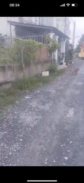 Nhà 1 trệt 2 lầu 3 phòng ngủ tại Tân Kim, Cần Giuộc, Long An 51m² giá 2.05 tỷ - Chính chủ bán gấp!