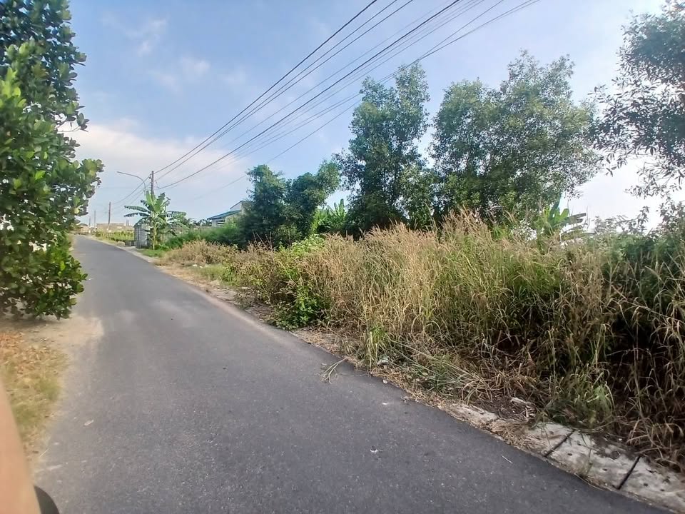 Đất nền phường Tân Hải, TP Hồ Chí Minh - Giá chỉ từ 1.6 tỷ, đầu tư sinh lời!