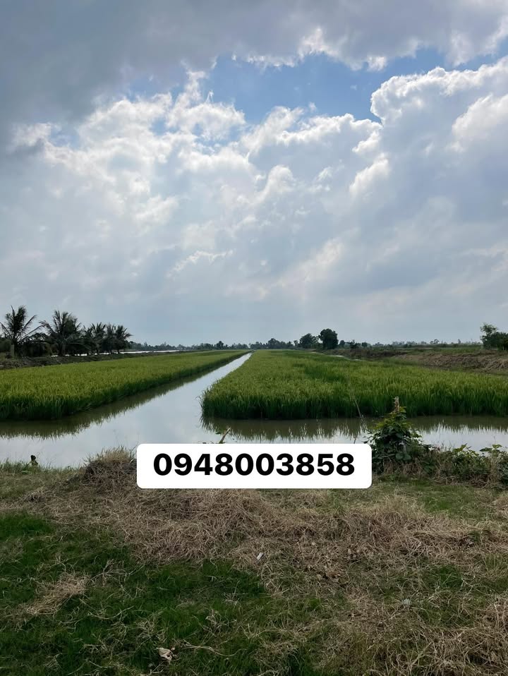 Đất tôm lúa tại Đông Hưng An, An Minh 25000m² giá 3 tỷ - Cơ hội đầu tư tuyệt vời!