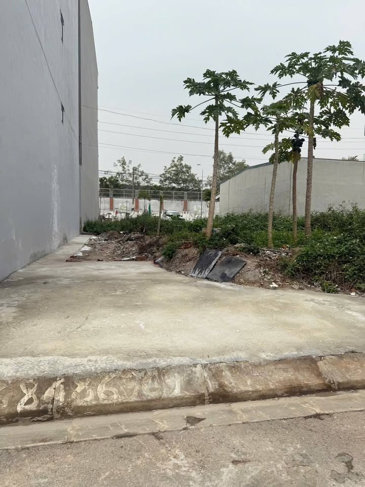 Đất dịch vụ 52m² tại thị trấn Trạm Trôi, Hoài Đức chỉ 8,9 tỷ - Sổ đỏ chính chủ!