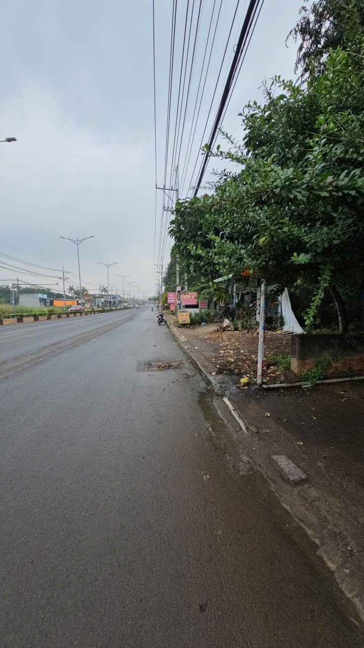 Đất nền mặt tiền đường ĐT741, Đồng Phú, 155m², giá 1.6 tỷ - Cơ hội đầu tư tuyệt vời!