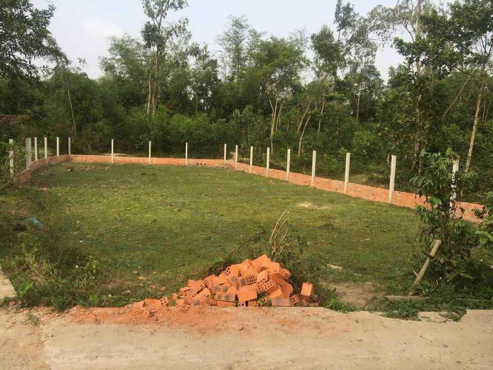 Đất trồng cây lâu năm tại Hòa Thuận, Tam Kỳ 350m² - Giá chỉ 300 triệu!