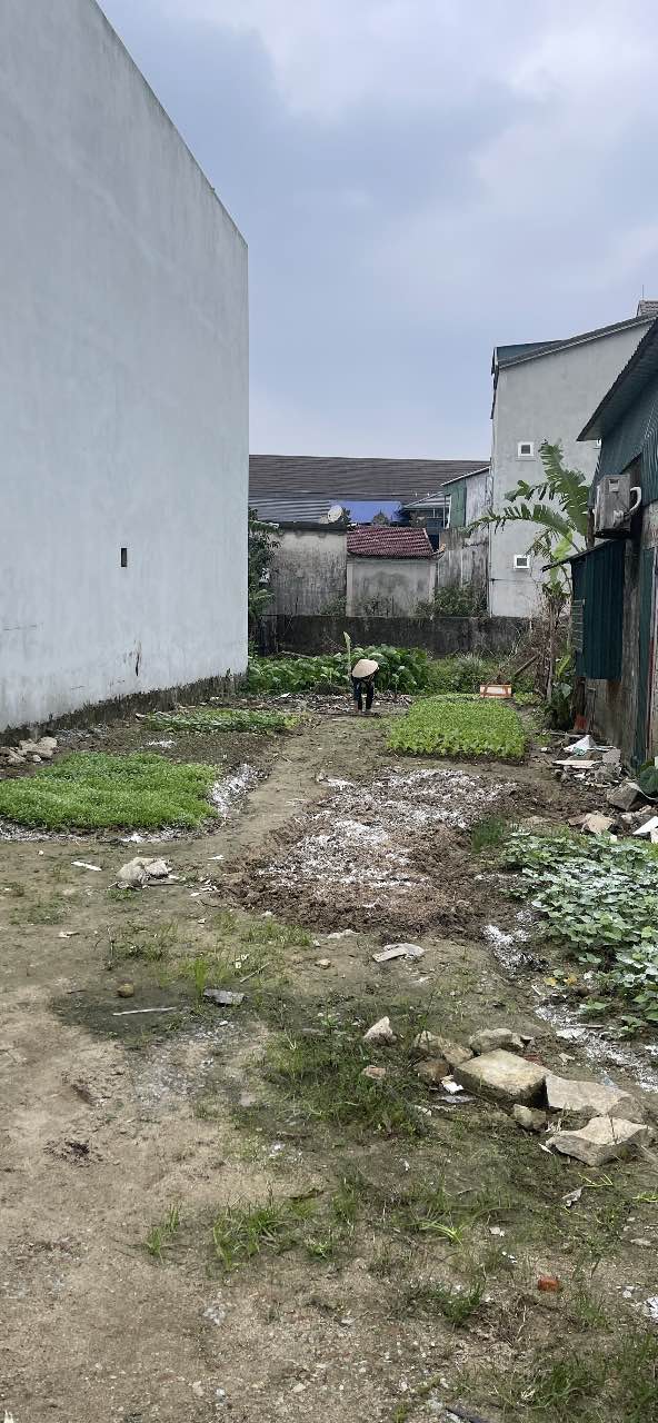 Đất thổ cư Thạch Long 184m² giá thỏa thuận - Vị trí đẹp, dân cư đông đúc!