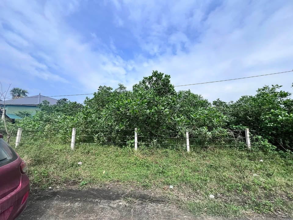 Đất thổ cư Thôn Thanh Mỹ, Cẩm Quan 1554m² giá chỉ 1.8 triệu/m² - Cơ hội đầu tư tuyệt vời!