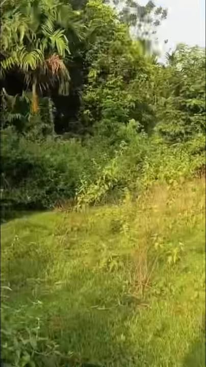 Đất nền Cư Kuin Đắk Lắk 1300m² giá 1.45 tỷ - Đầu tư sinh lời tuyệt vời!