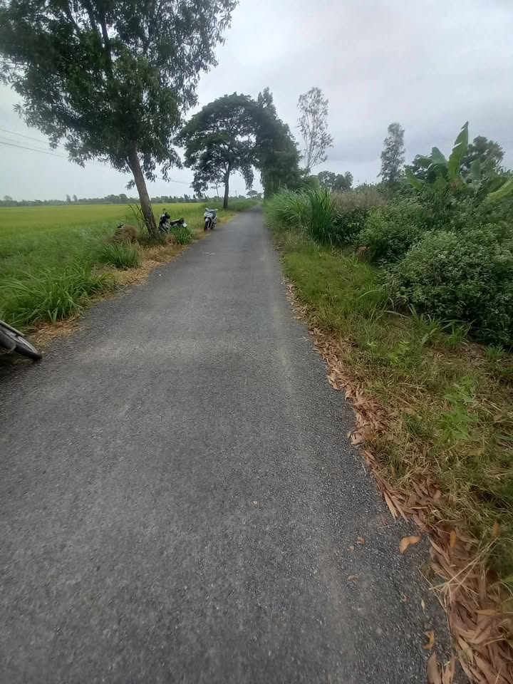 Đất thổ cư 100% mặt tiền lộ nhựa HL 26 xã Long Phú - Giá chỉ 270 triệu