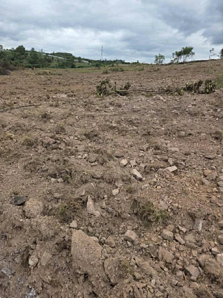 Đất nền Cư M'gar Đắk Lắk 20.000m² giá 5.76 tỷ - Cơ hội đầu tư hấp dẫn!