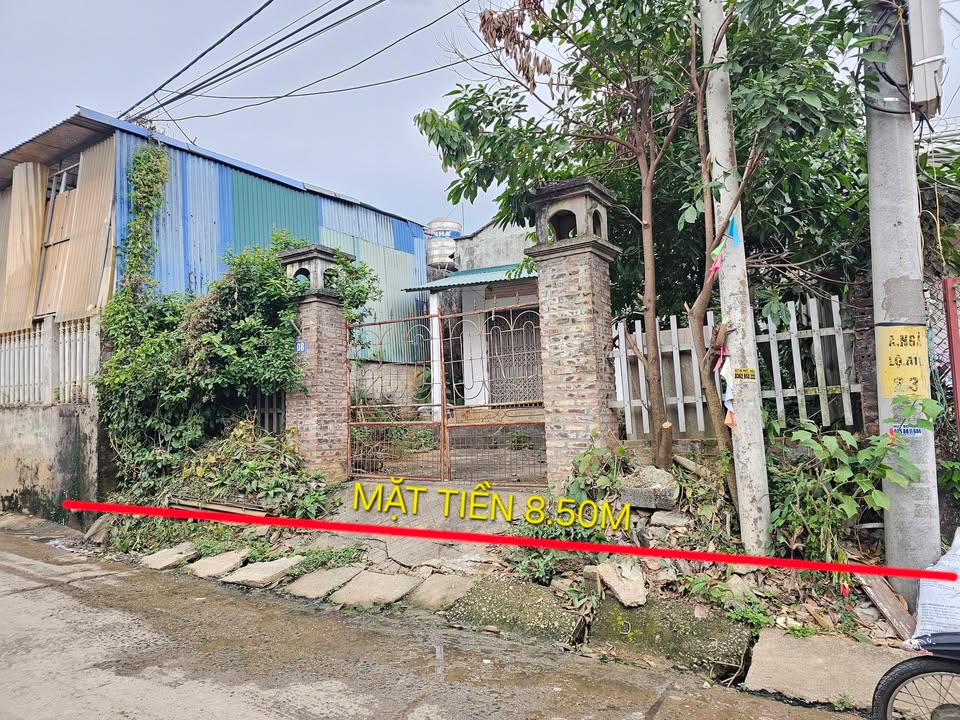 Đất Yên Bài, Ba Vì 305m² giá 3 tỷ - Thế đất thoáng mát, ô tô tránh nhau!