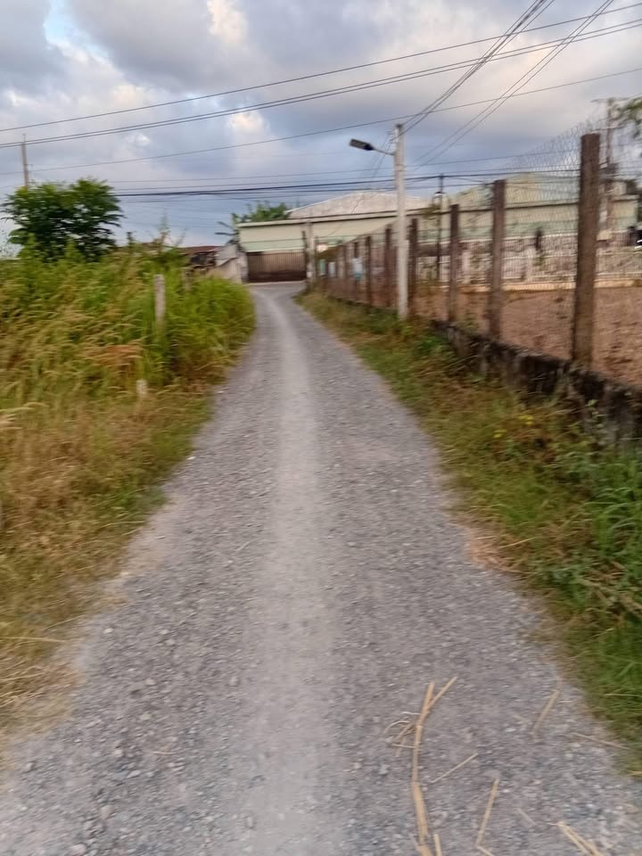 Đất nền ấp Vịnh, xã Hảo Đước 339m² giá chỉ 240 triệu - Cơ hội đầu tư hấp dẫn!