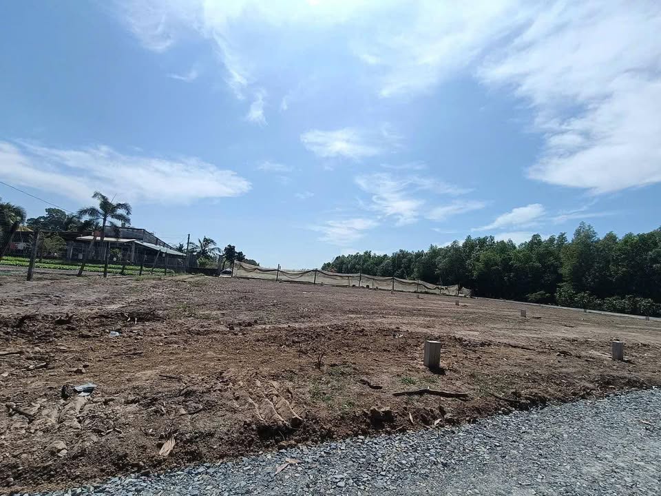 Đất nền Trí Bình Châu Thành Tây Ninh 310m² giá 520 triệu - Cơ hội đầu tư tuyệt vời!