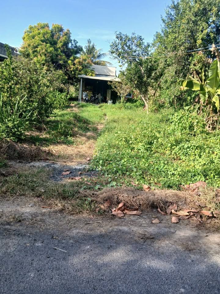 Đất thổ cư 100m² Thanh Phước, Châu Thành chỉ 1.7 tỷ - Cơ hội đầu tư tuyệt vời!