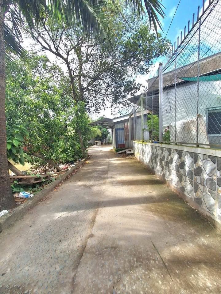 Nhà mặt tiền đường Trần Quang Diệu, 50m² giá 950 triệu - Thương lượng nhẹ!