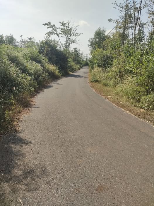 Đất nền Đá Bạc, Châu Đức 1400m² giá 850 triệu - Sổ hồng riêng, mặt tiền đường nhựa!