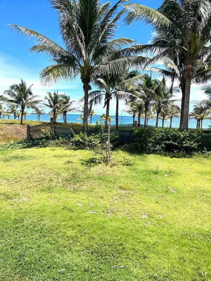 Đất thổ cư Mũi Né Phan Thiết 1800m² - Cách biển chỉ 200m, giá thỏa thuận!