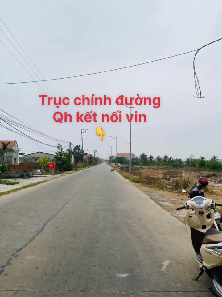 Đất thổ cư 1000m² tại Phường Hà An, Quảng Yên - Giá chỉ 8.5 tỷ, vị trí đắc địa!