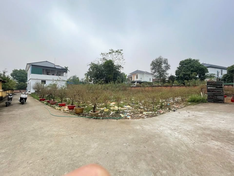 Đất nền khu Đục Trò, Hy Cương, Việt Trì 118m² giá 1 tỷ - Cơ hội vàng đầu tư!