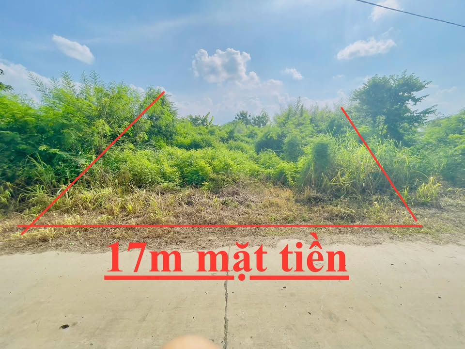 Đất nền Ấp 6, Phú Tân, Định Quán 1033m² giá chỉ 690 triệu - Sổ đỏ chính chủ!