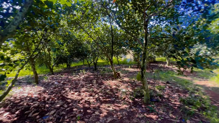 Đất nền xã Bảo Bình 2000m² giá 900 triệu - Đầu tư sinh lời ngay!