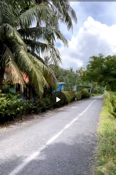 Đất nền Bình Ninh, Chợ Gạo 397m² giá 999 triệu - Tiện ích đa dạng xung quanh!