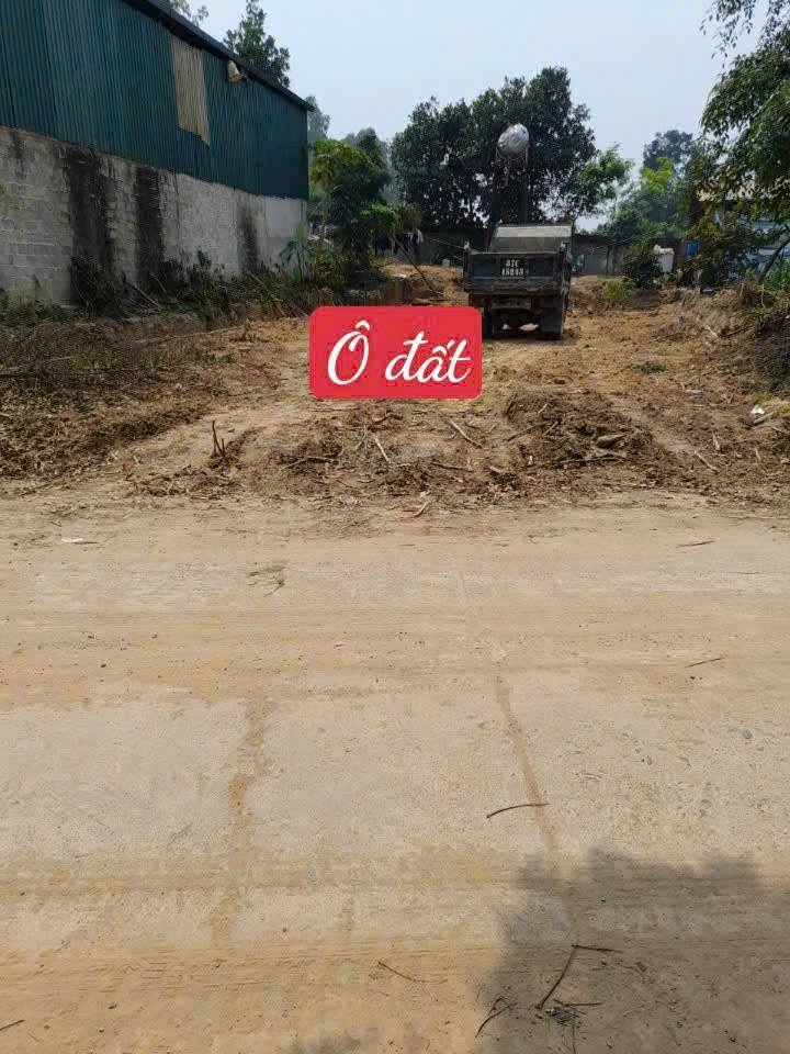 Đất nền tại khu phố 8, xã Hoàng Hoa, Tam Dương 200m² giá 1.6 tỷ - Đầu tư sinh lời ngay!