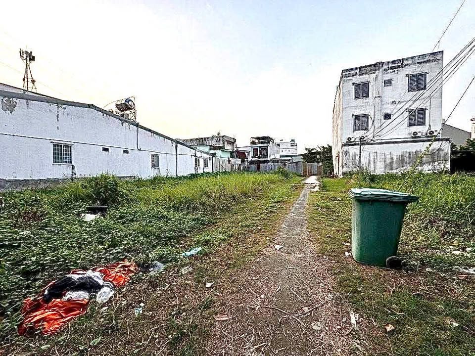 Đất nền Trường Thọ Thủ Đức 1353m² giá 48.8 tỷ - Diện tích lớn, pháp lý đầy đủ!