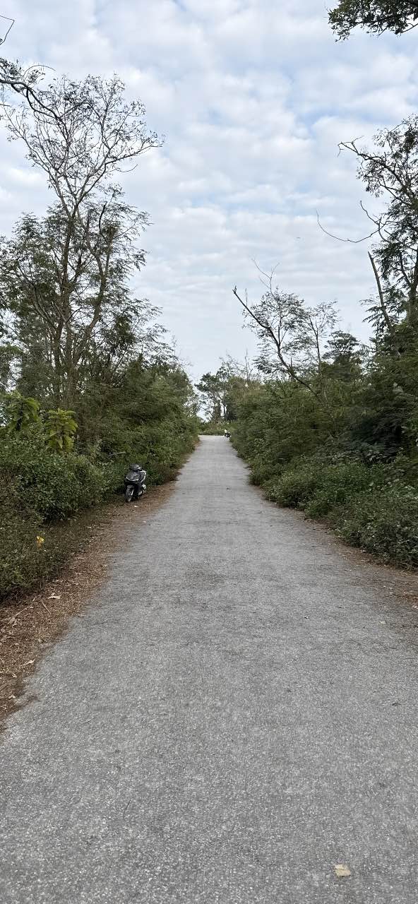 Đất nền Kiến An 45m² - Ngõ thông rộng, vị trí đắc địa