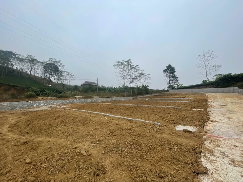 Đất thổ cư Tuyên Quang 132m² giá chỉ vài trăm triệu - Cơ hội đầu tư hấp dẫn!