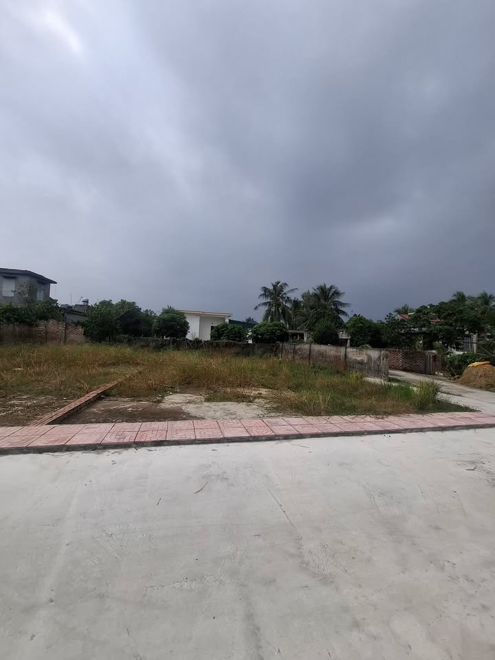 Đất nền Hiệp Hòa Vĩnh Bảo 165m² - Đường ô tô vào tận sân, giá cực tốt!