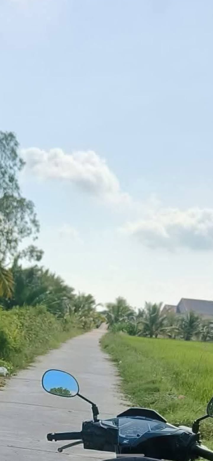 Đất lúa 1350m² tại Tân Thạnh, Cần Thơ - Ô tô vào tận nơi chỉ 250 triệu!