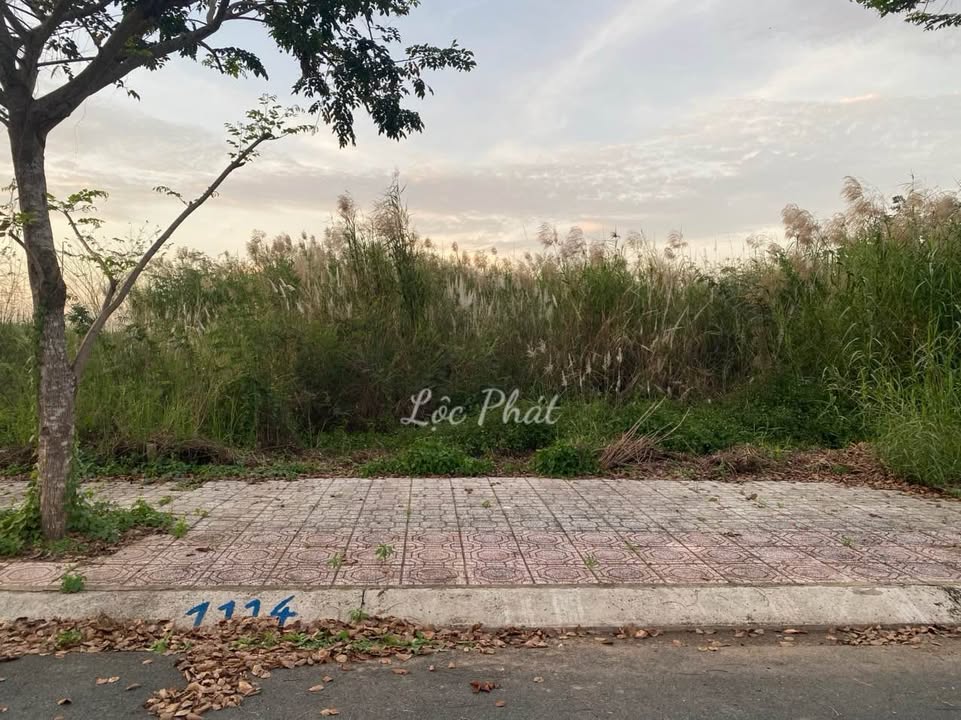 Đất nền tái định cư Bình Thủy, Cần Thơ 72m² giá 980 triệu - Tiềm năng sinh lời vượt trội!