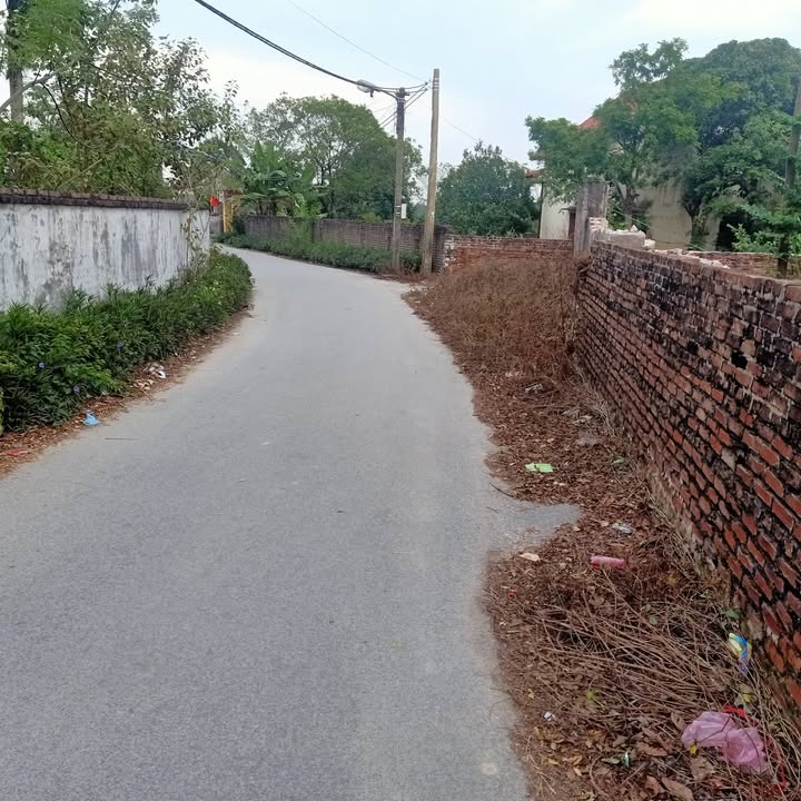 Đất nền 100m² xã Lâm Thao, Bắc Ninh giá 2 tỷ - Đường rộng ô tô vào tận nơi!