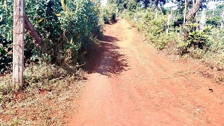 Đất rẫy cho thuê 10 năm tại làng Sao Đúp, Gia Lai - Giá thỏa thuận hợp lý!