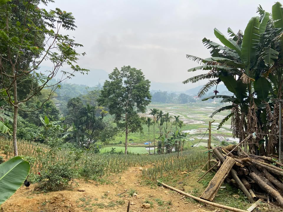 Đất nền Yên Mông - Hoà Bình 2000m² giá 2 tỷ - View đồng tuyệt đẹp!