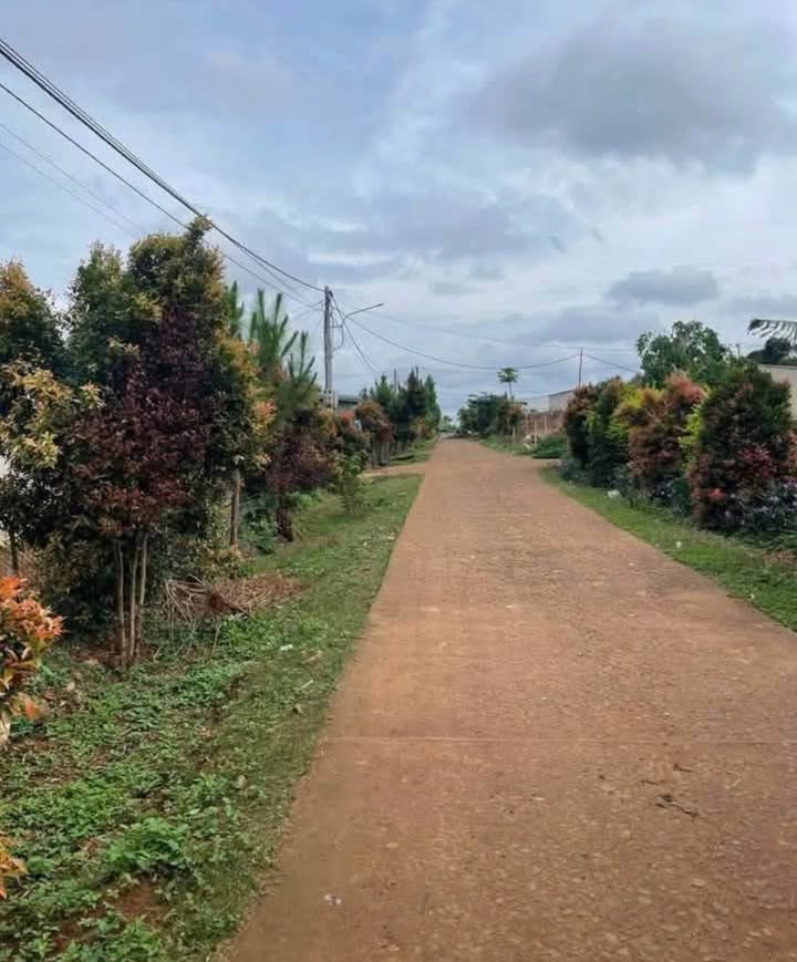 Đất thổ cư tại Phường An Phú, Pleiku 175m² giá 200 triệu - Đầu tư sinh lời ngay!