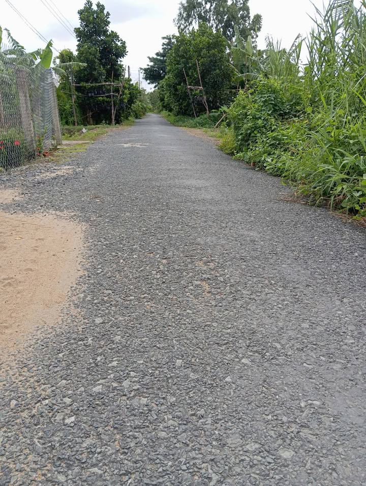 Đất nền khu phố Mỹ Hoà, phường Mỹ Phước Tây, 193.5m² giá 480 triệu - Sổ hồng riêng công chứng!