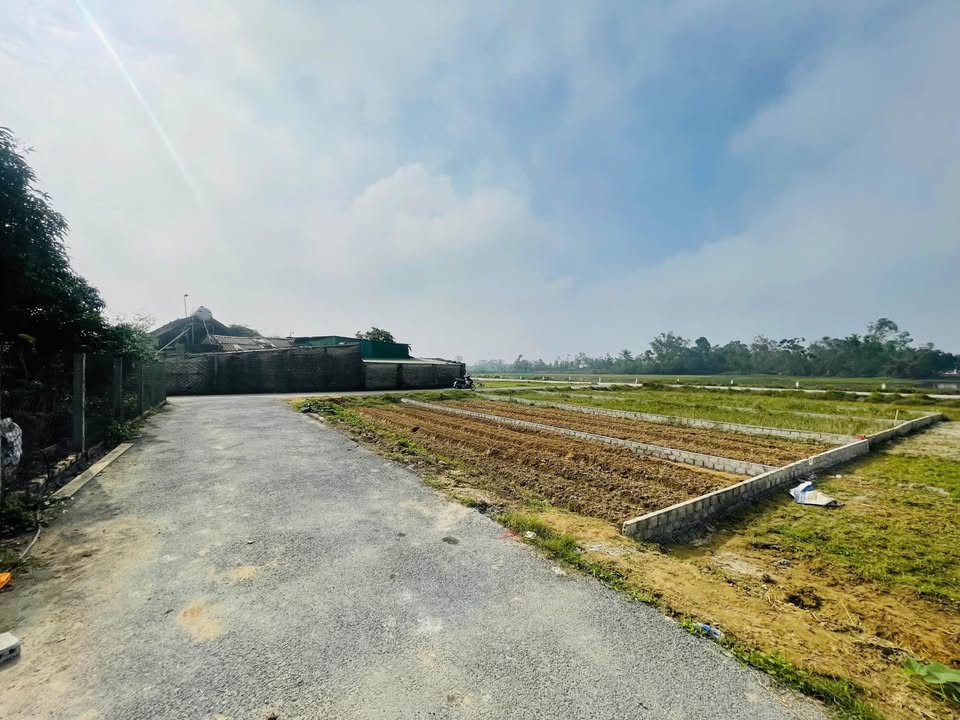 Đất nền Nghi Phong Vinh 115.1m² giá 2.2 tỷ - Tiềm năng đầu tư lớn!