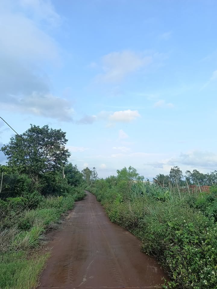 Đất nông nghiệp hẻm 63 Ngô Sĩ Liên 2013m² giá 1.2 tỷ - Tiềm năng phát triển cao!