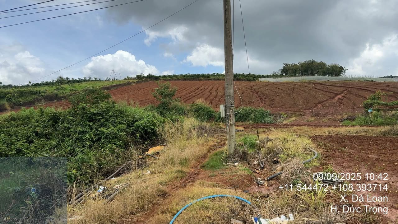 Đất nền Đà Loan 1,2ha giá 6 tỷ - Đầu tư sinh lời ngay trung tâm!