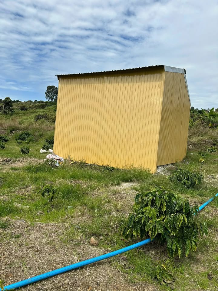 Đất thổ cư 20.000m² tại thôn Tân Lập, Lâm Hà - Giá 1.25 tỷ, tiện nghi đầy đủ!