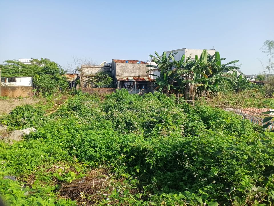 Đất nền Hòa Tiến Đà Nẵng 167m² giá 1.75 tỷ - Vị trí cao ráo, sạch đẹp