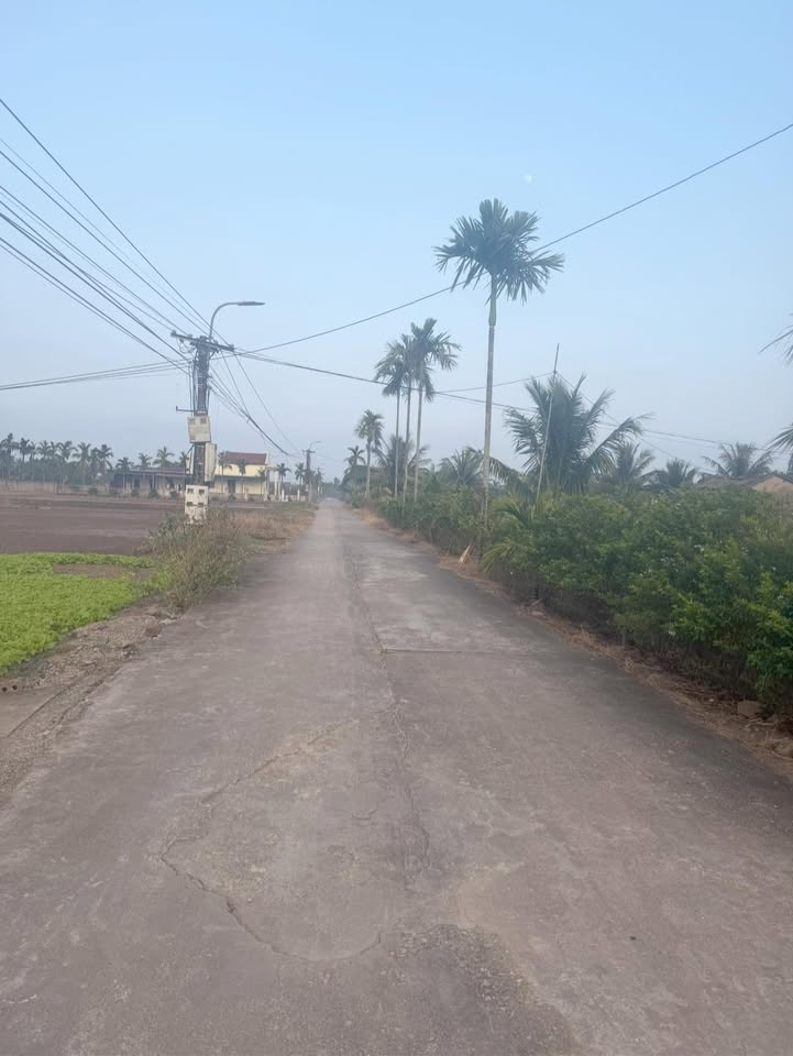 Đất nền 2500m² tại Nga An, giá 900 triệu - Cơ hội đầu tư tuyệt vời!