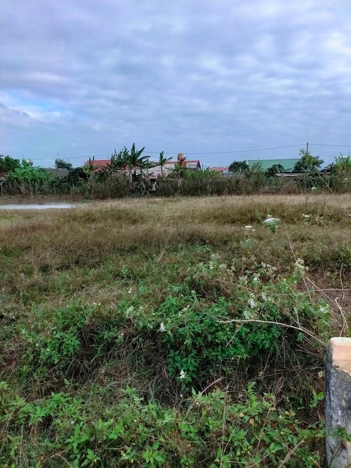 Đất nền dự án 1 xã Ea Ô 1000m² giá thỏa thuận - Cơ hội đầu tư hấp dẫn!