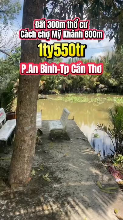 Đất nền An Bình Cần Thơ 300m² giá 1.55 tỷ - Dân cư đông đúc, view sông thoáng mát!