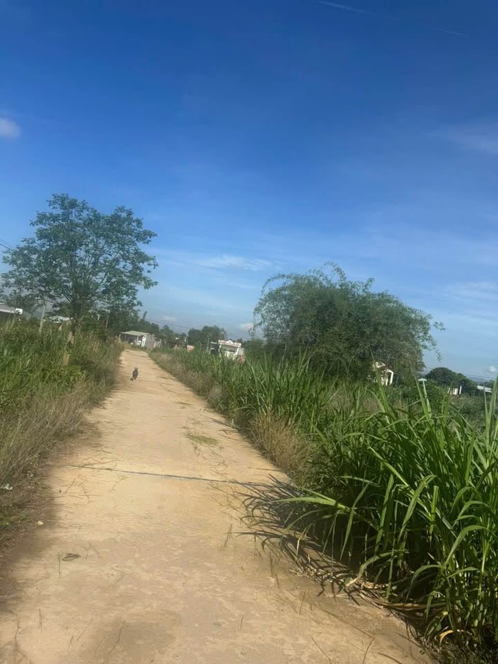 Đất nền Vinh Quang, Kon Tum 2520m² chỉ 500 triệu - Cơ hội đầu tư hấp dẫn!