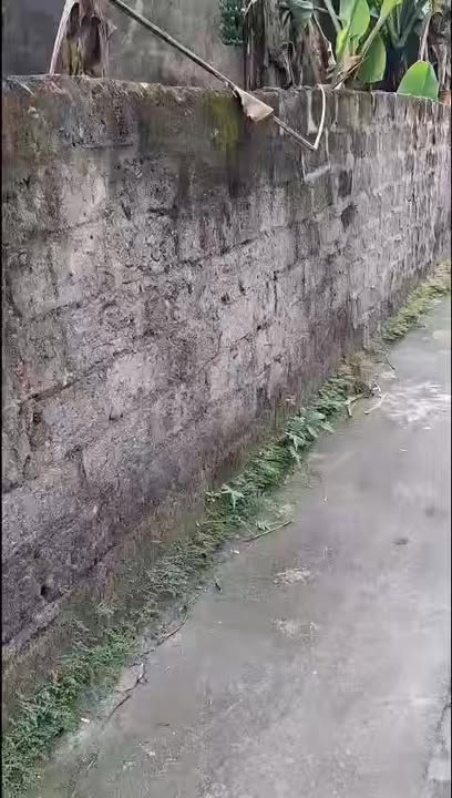 Đất thổ cư bán gấp tại Lai Tảo, Bột Xuyên - 84,3m² và 85,5m² chỉ 1 tỷ!