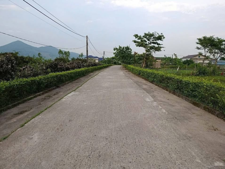 Lô đất Kỳ Thọ 100m² giá 600 triệu - Đón lộc phong thủy!