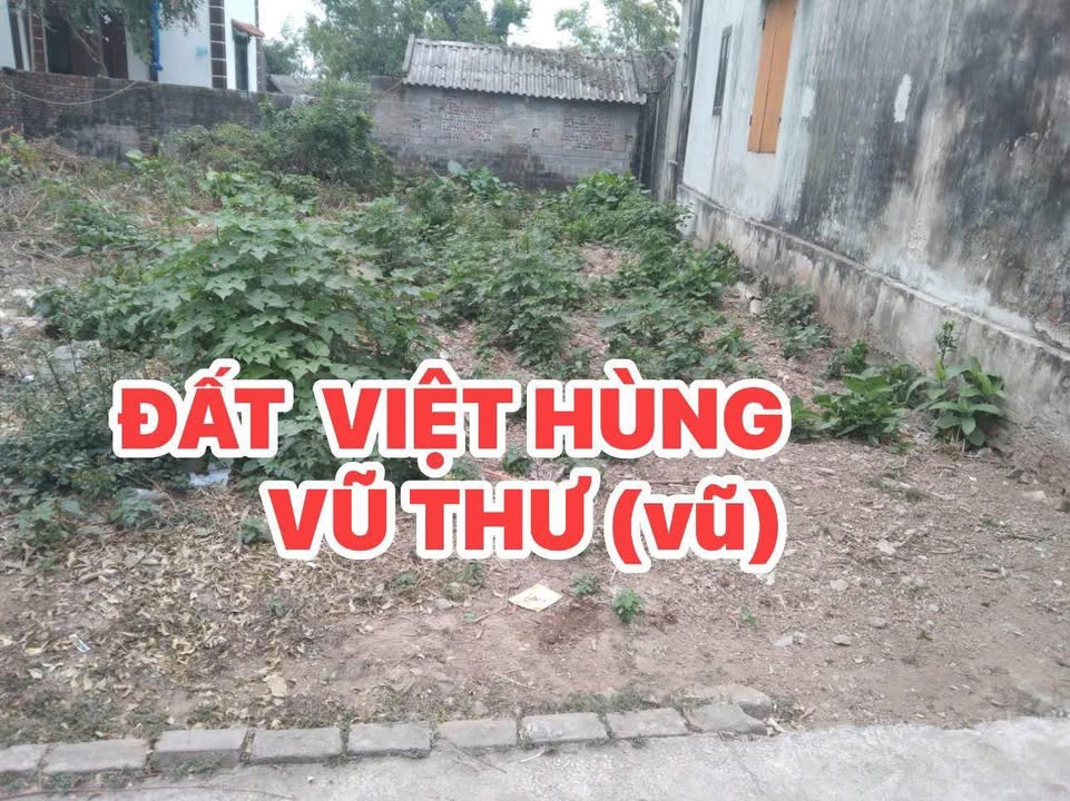 Đất nền Việt Hùng Vũ Thư 73m² giá 400 triệu - Vị trí đẹp, đầu tư hợp lý!